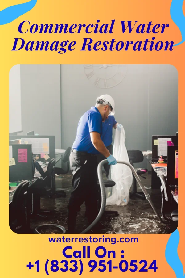 Commercial Water Damage Restoration in Squaw Lake, MN