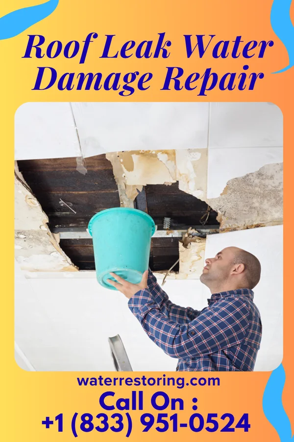 Roof Leak Water Damage Repair in Squaw Lake, MN